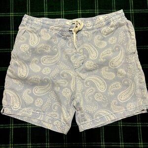 Pacsun Volley Shorts (L) Baby-Blue/White